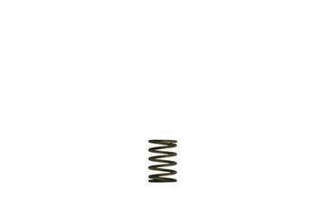 WG38/40 Gen-V 3psi Inner spring - Black