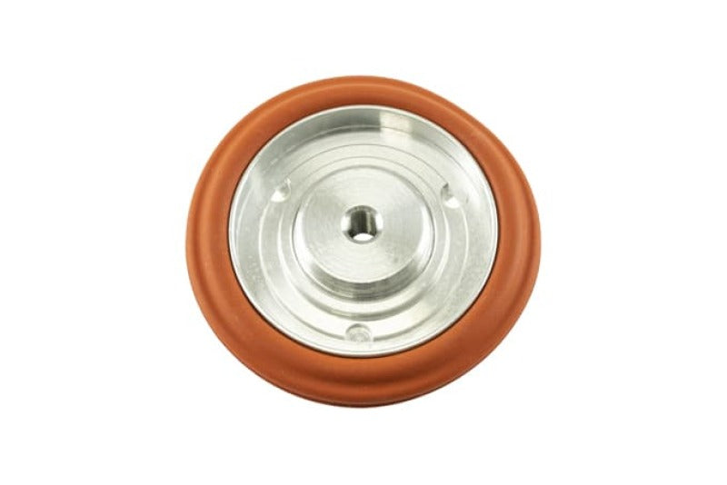 IWG75 Twin Port Diaphragm Assembly Replacement