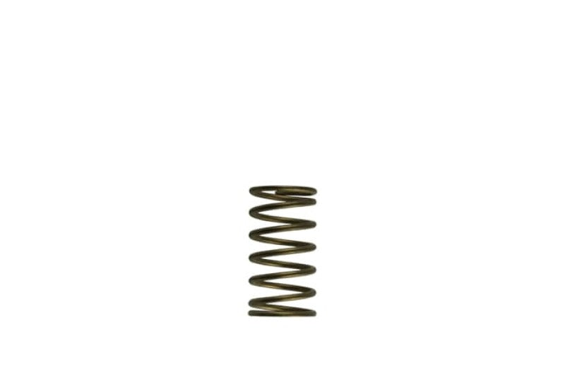 WG60 Gen-V 3psi Inner spring