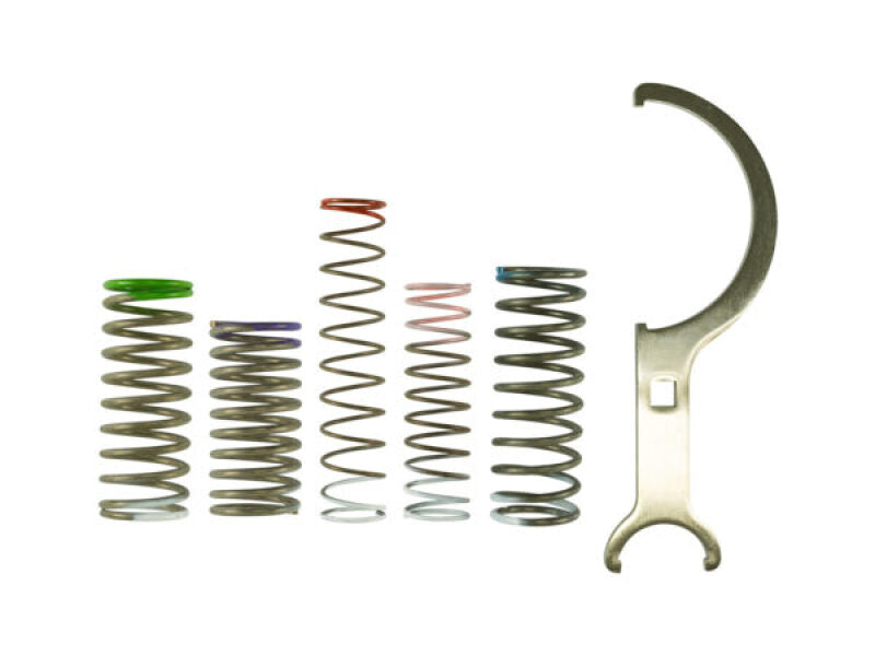 BOV Pro Port Spring Kit