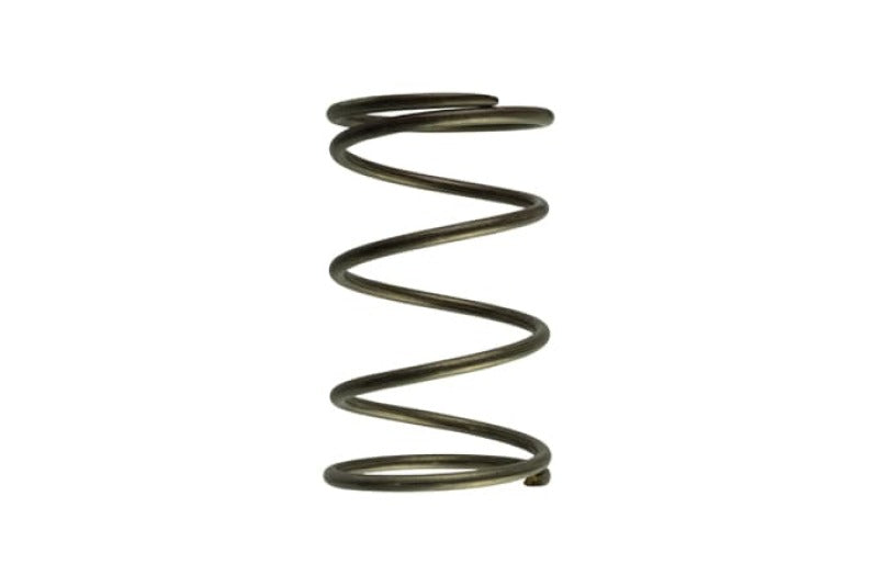WG60 Gen-V 14psi outer spring - Brown