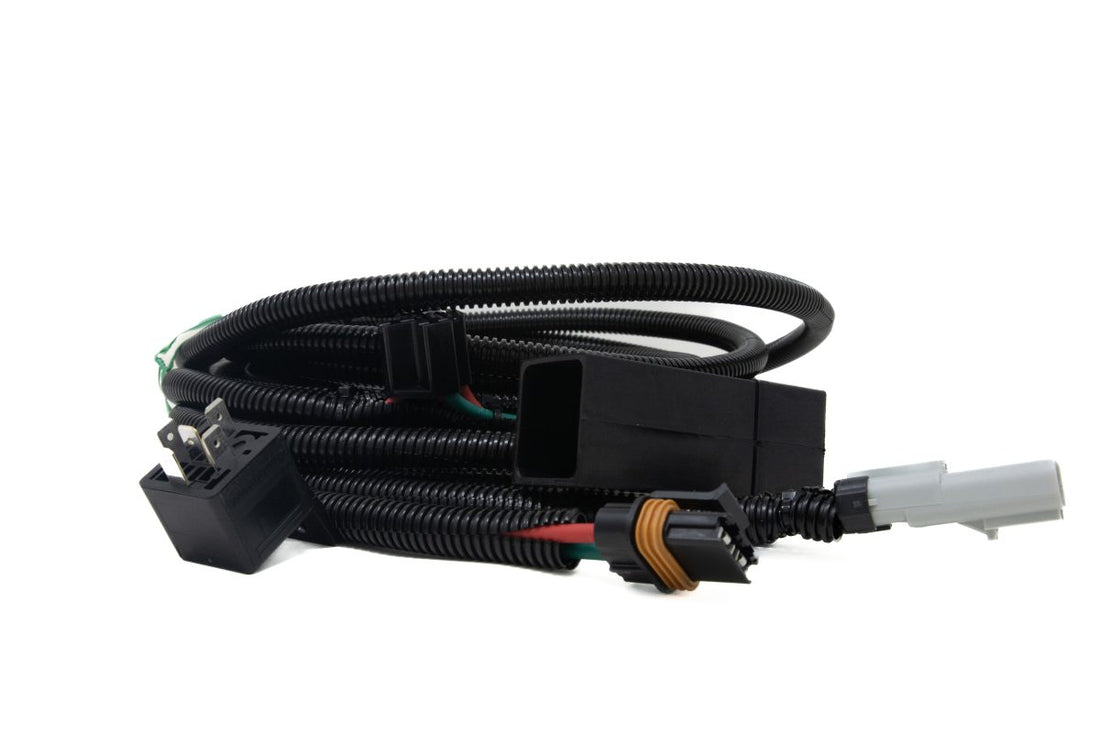 FASS Replacement Wire Harness 10 Gauge Delphi w/ Relay Cover