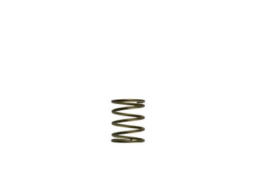 WG45/50 Gen-V 3psi Inner spring - Orange