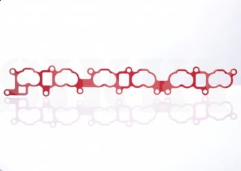 Thermalnator intake gasket